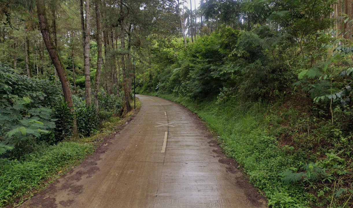 Jogging with Fresh Air