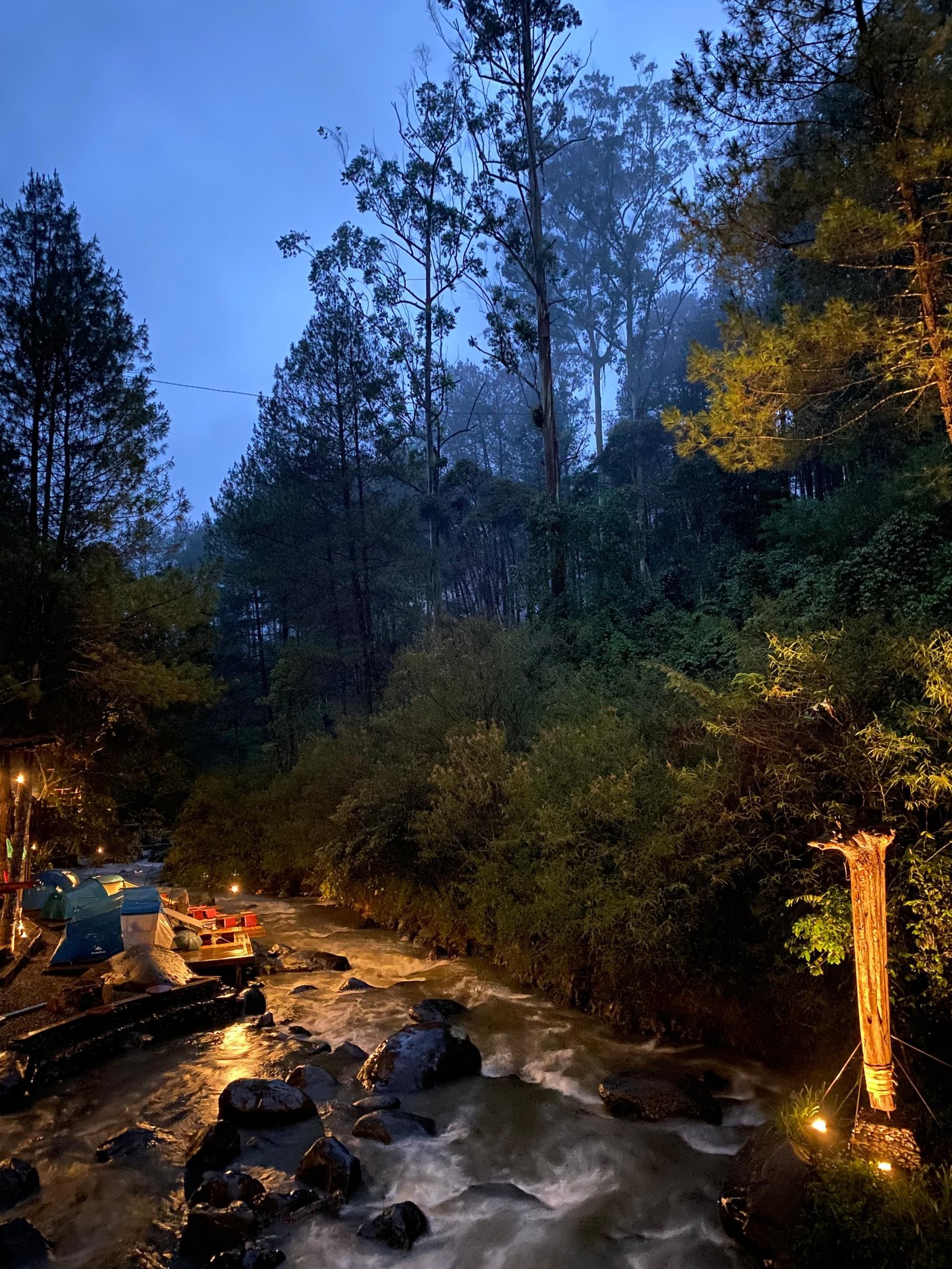 Gallery Pineus Tilu 1 3