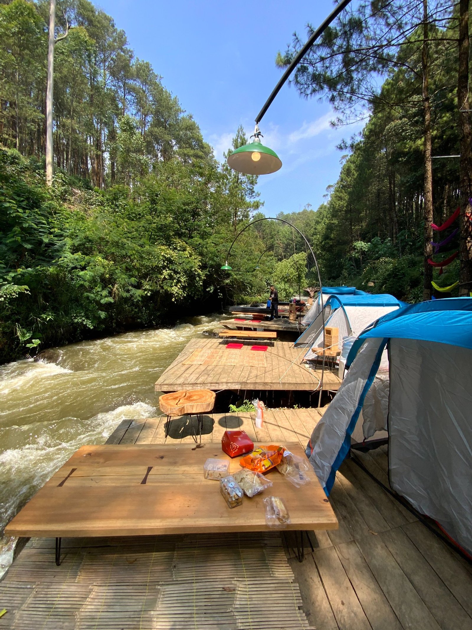 Gallery Pineus Tilu 1 5