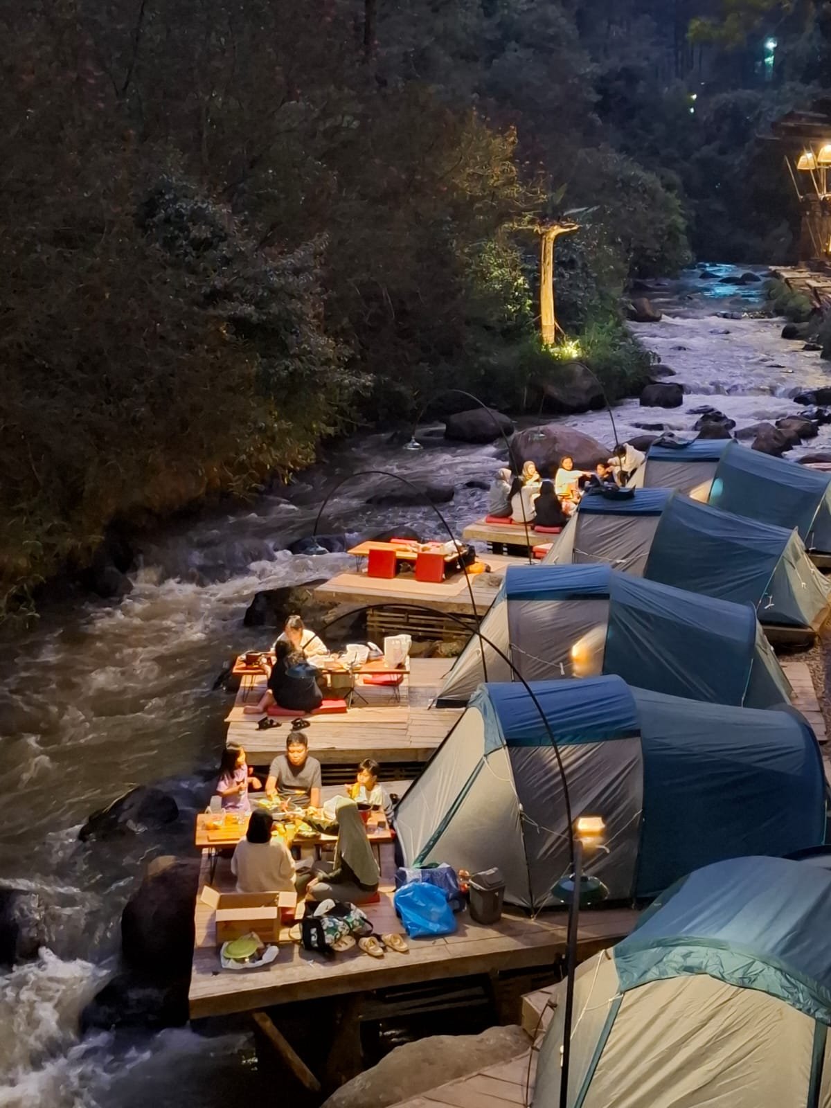 Gallery Pineus Tilu 1 6