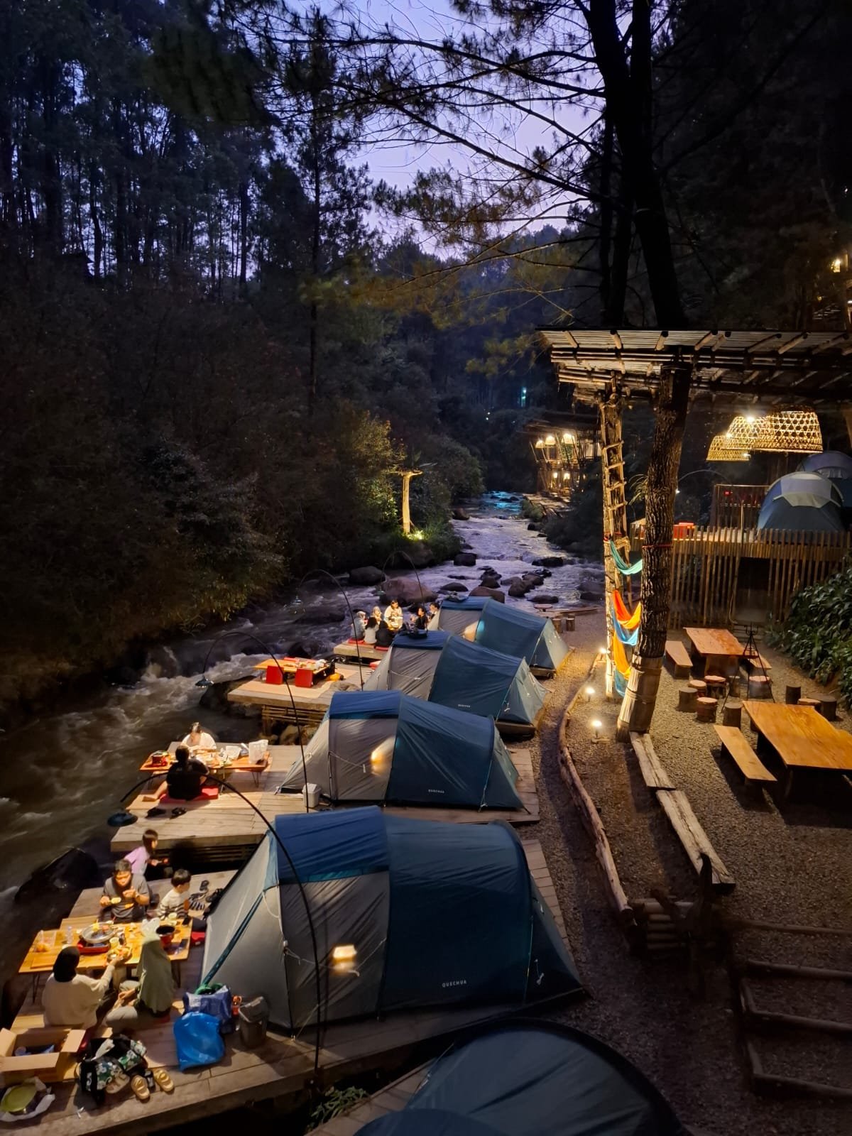 Gallery Pineus Tilu 1 7