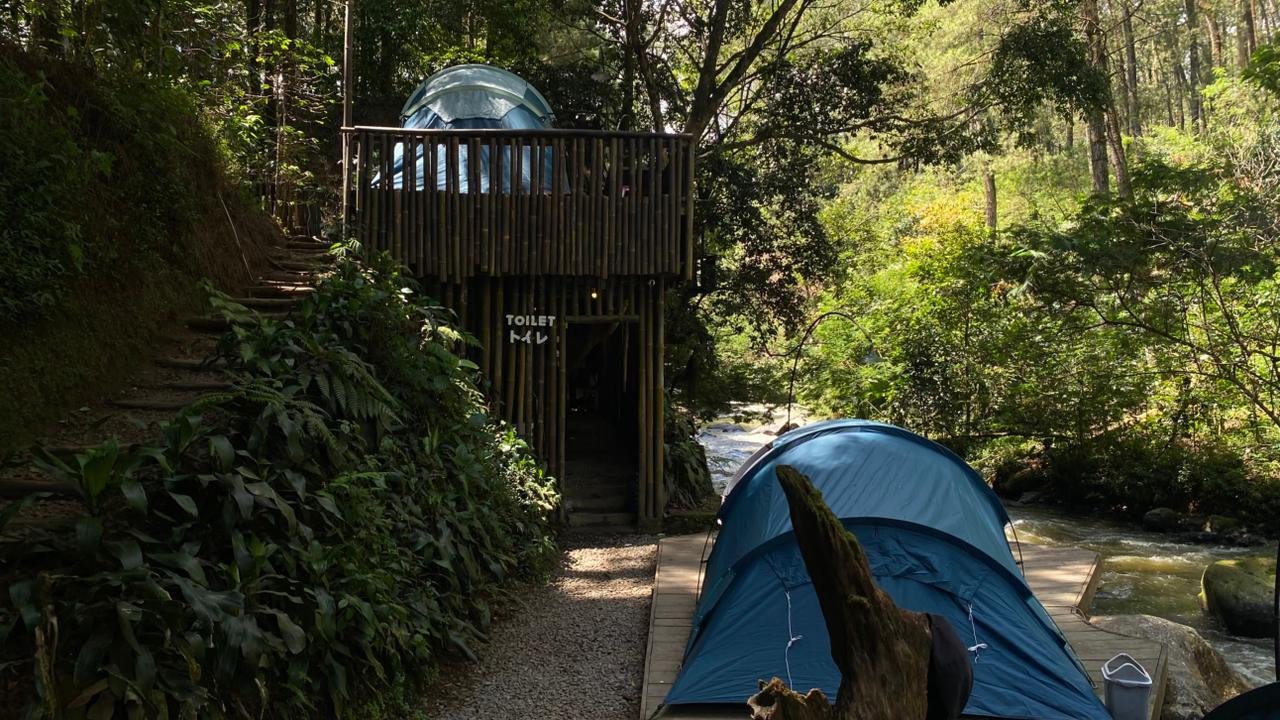 Gallery Pineus Tilu 1 8