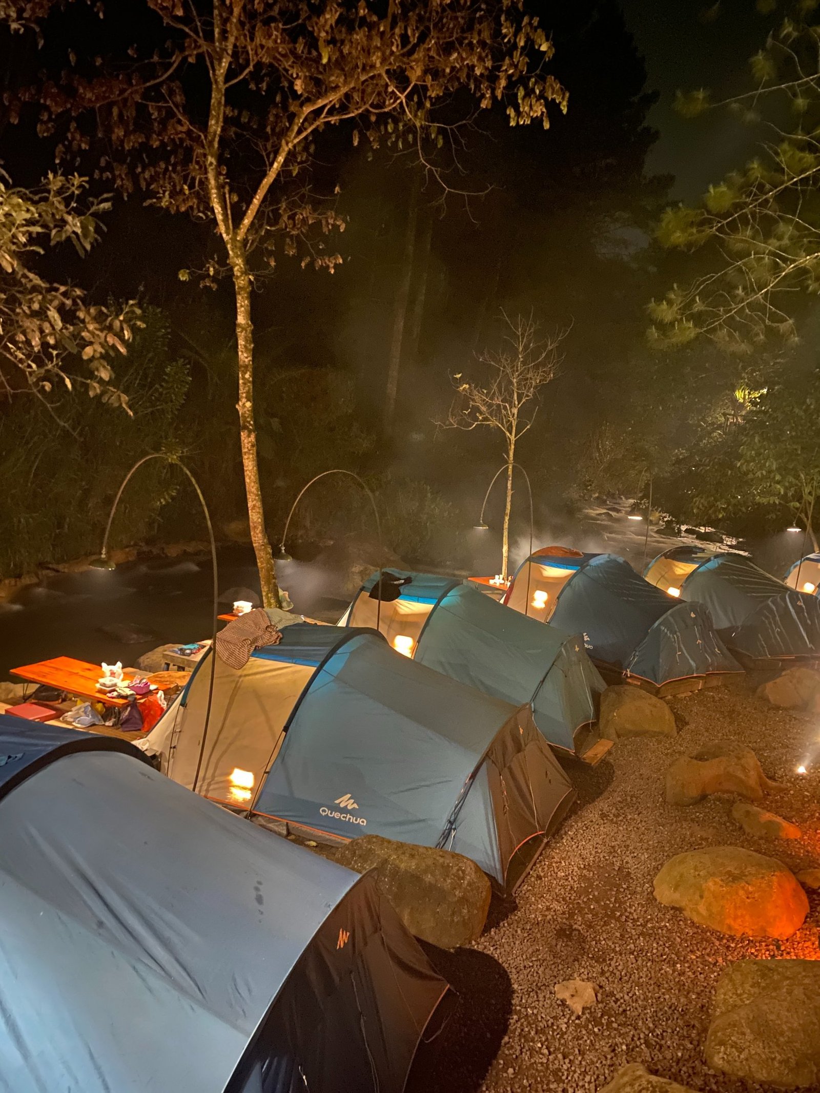 Gallery Pineus Tilu 2 1