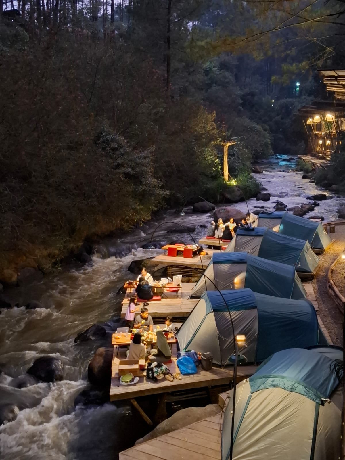 Gallery Pineus Tilu 2 12