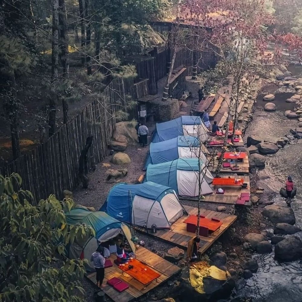 Gallery Pineus Tilu 2 4