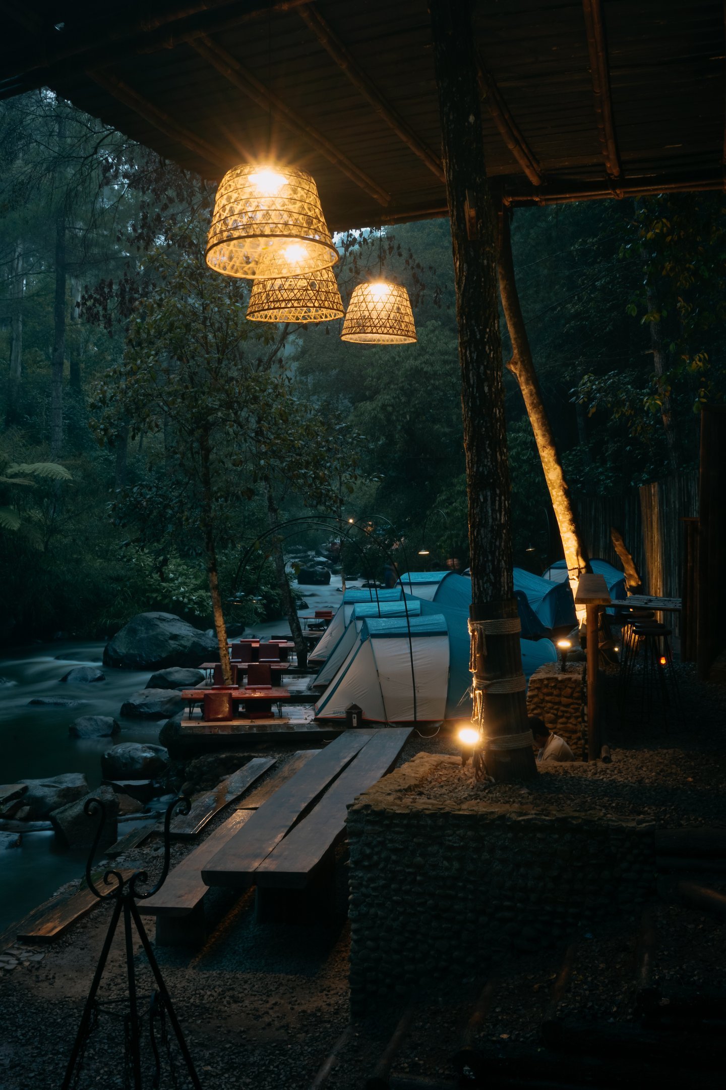 Gallery Pineus Tilu 2 6