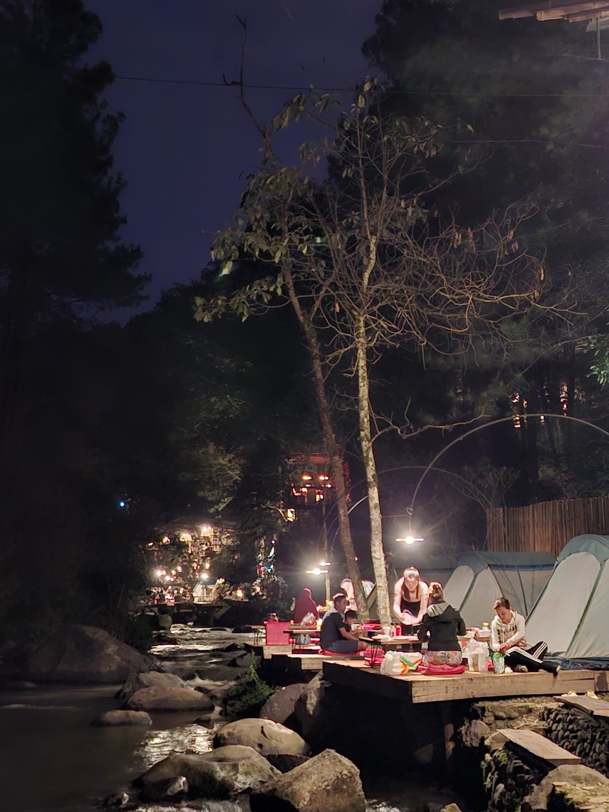 Gallery Pineus Tilu 2 9