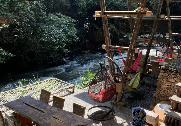 Gallery Pineus Tilu 3 VIP 1