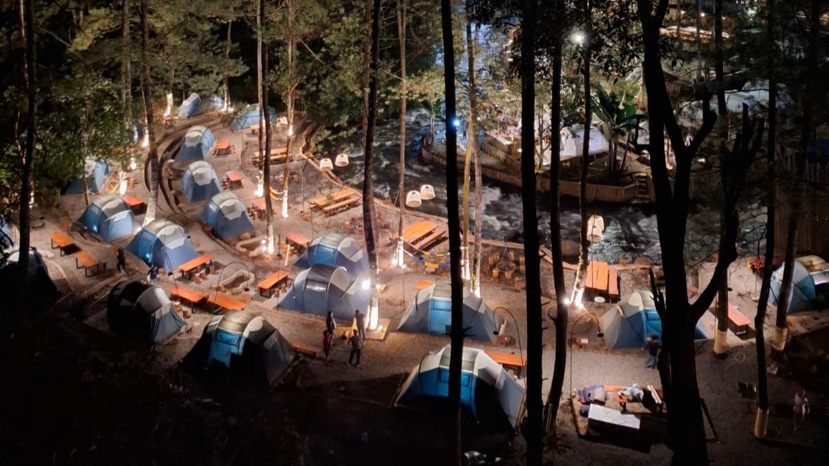 Gallery Pineus Tilu 4 1