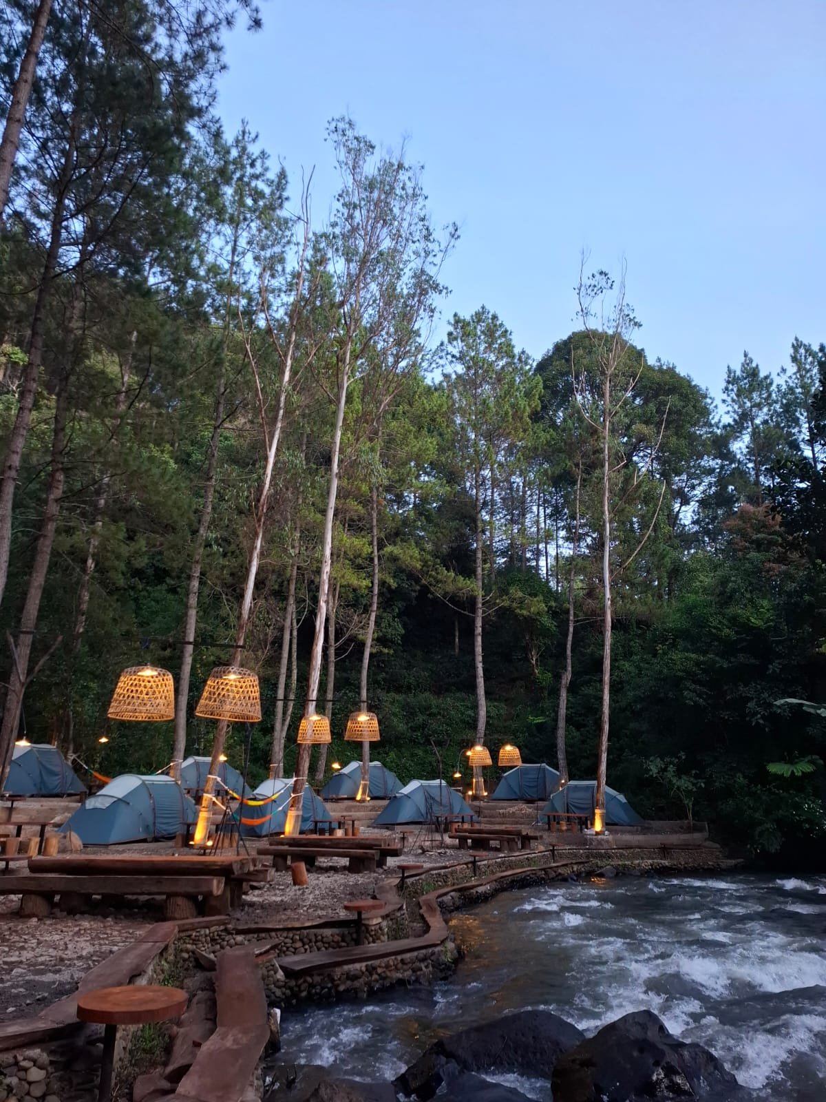 Gallery Pineus Tilu 4 10