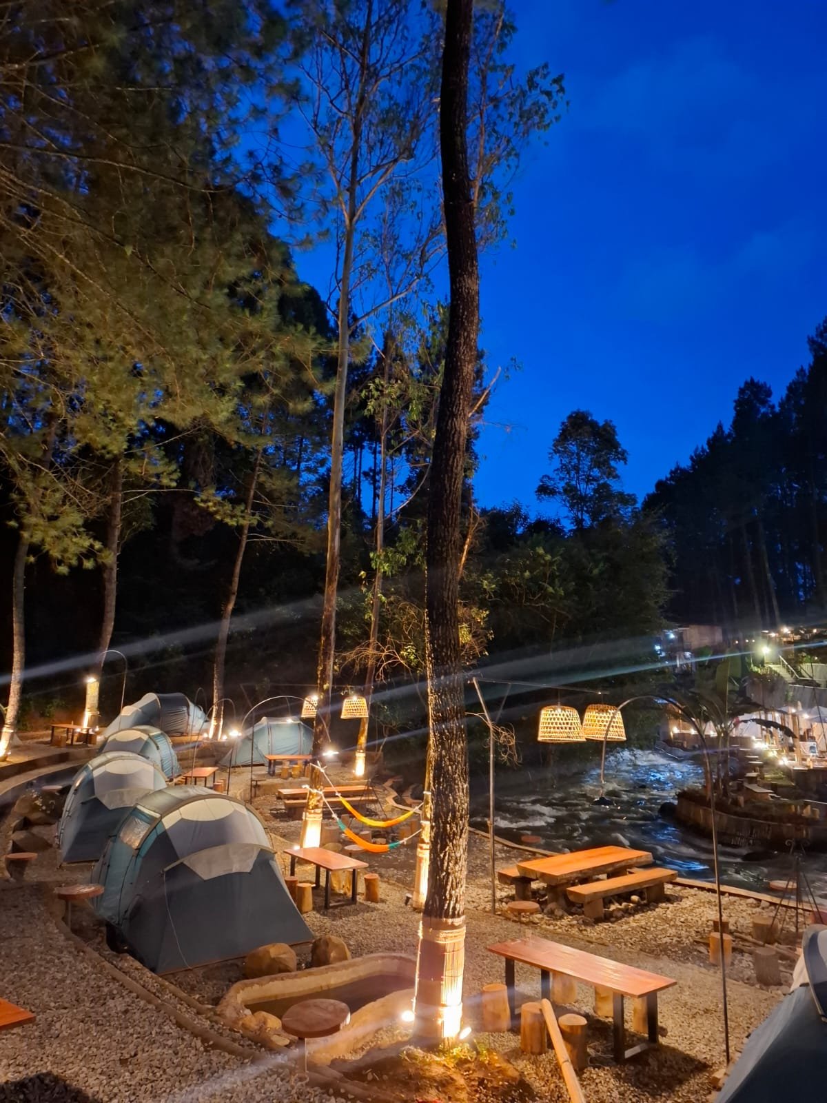 Gallery Pineus Tilu 4 12