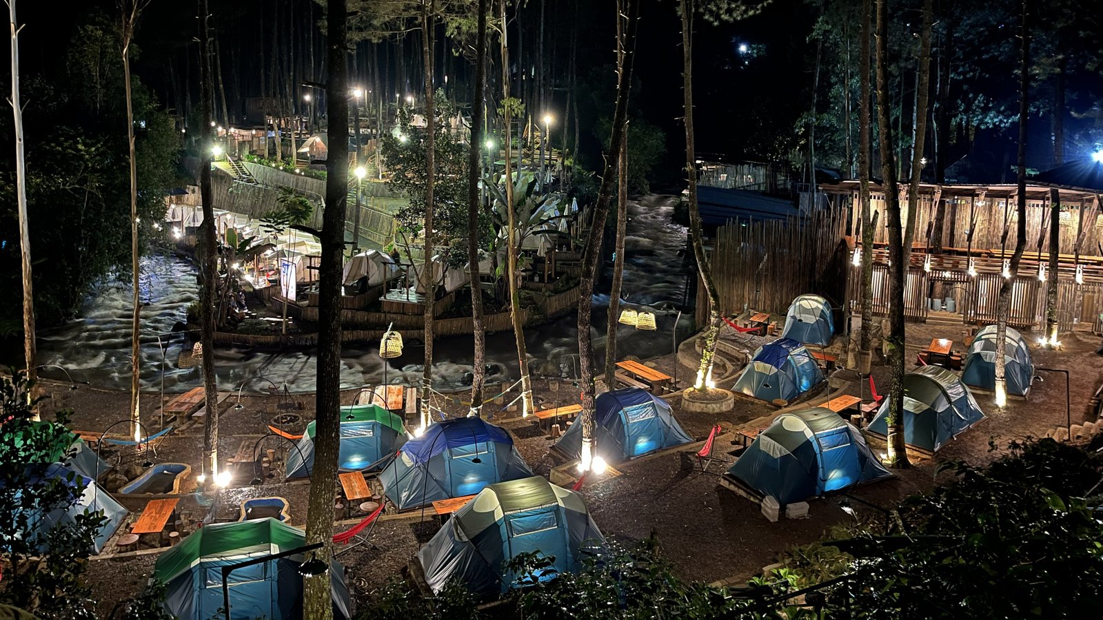 Gallery Pineus Tilu 4 2