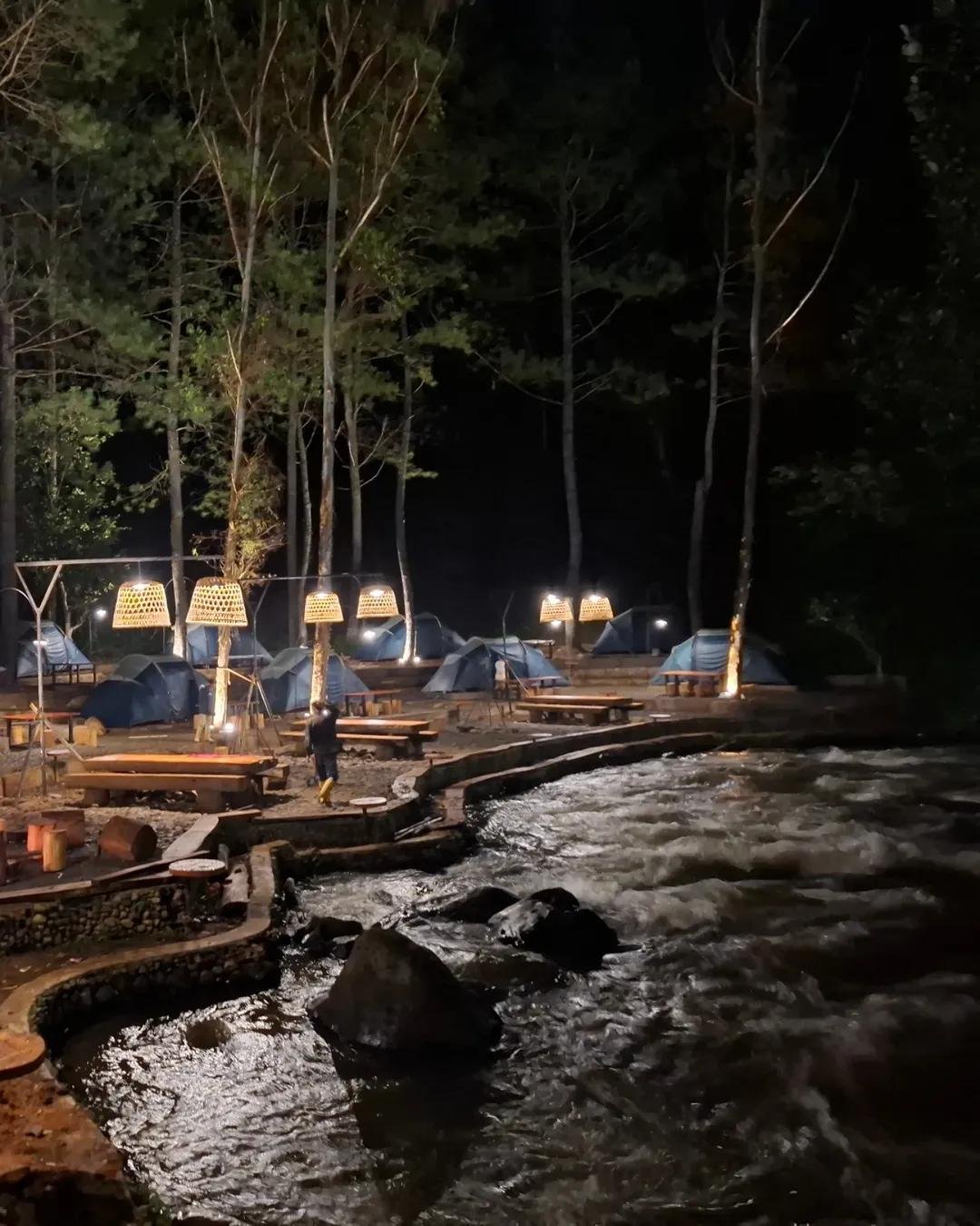 Gallery Pineus Tilu 4 5