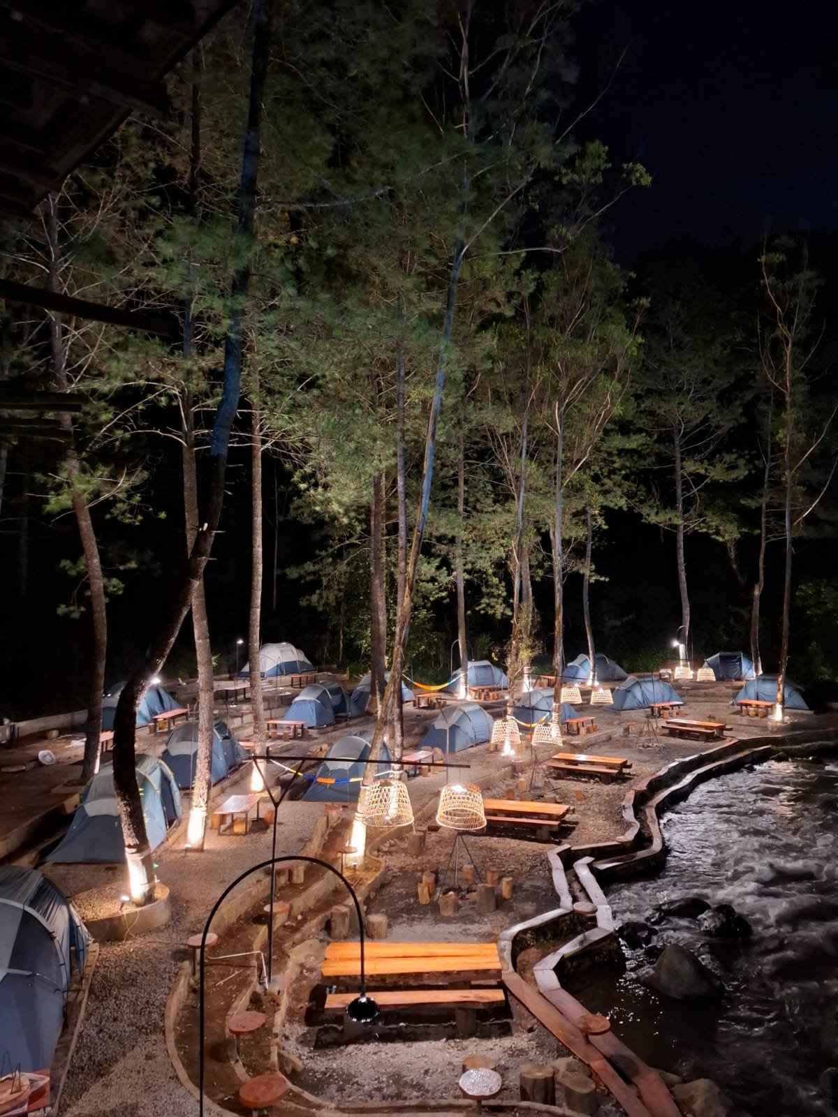 Gallery Pineus Tilu 4 8