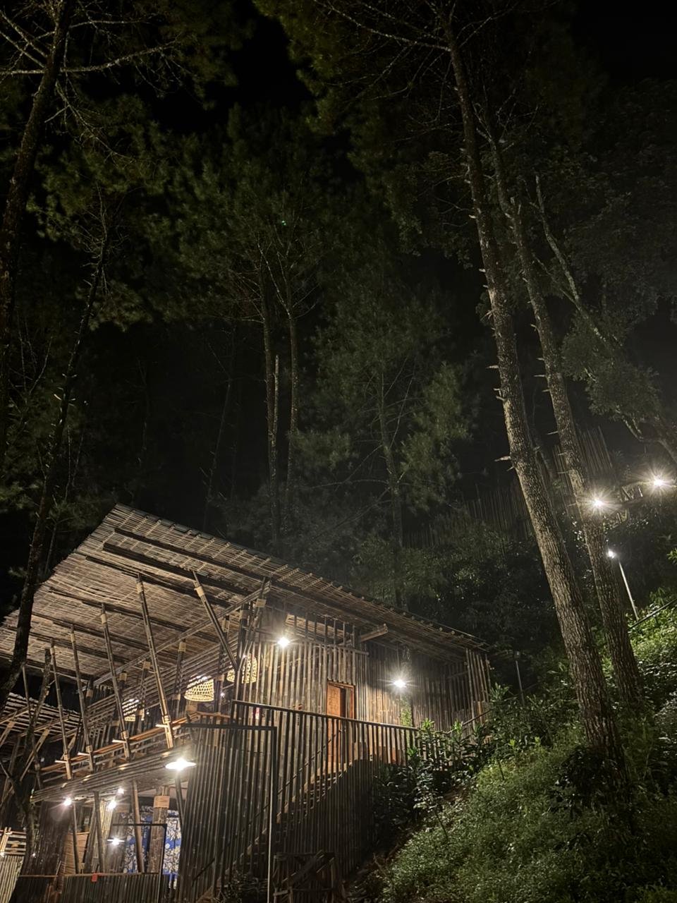 Gallery Cabin VVIP 8